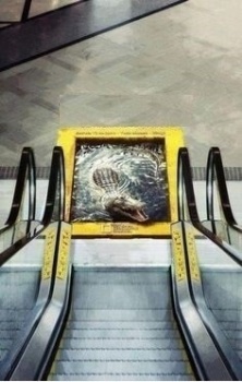 Picture of Escalator Floor Clings